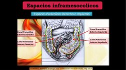 Espacios inframesocolicos
