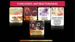 FUNCIONES ANTIBACTERIANAS
