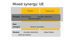 Extensor
Flexor
Mixed synergy: UE
Strongest  elbow flexion               shoulder adduction 
                        internal
