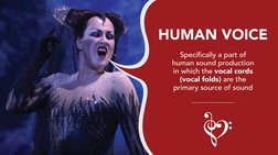 HUMAN VOICE
Speciﬁcally a part of 
human sound production 
in which the vocal cords 
(vocal folds) are the 
primary source of