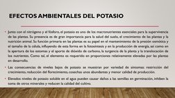 EFECTOS AMBIENTALES DEL POTASIO
• Junto con el nitrógeno y el fósforo, el potasio es uno de los macronutrientes esenciales pa