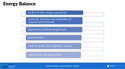 Energy Balance
60-80% of daily energy expenditure
Synthesis, secretion and metabolism of 
enzymes and hormones 
Maintenance o