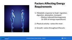 Lorem ipsum dolor sit amet, consec tetuer adi pis
cing elit. Aenean comm
Factors Affecting Energy 
Requirements
1. Metabolic