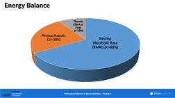 Energy Balance
Resting 
Metabolic Rate 
(RMR) (60-80%)
Physical Activity
(15-30%)
Thermic 
Effect of 
Food
(6-10%)
