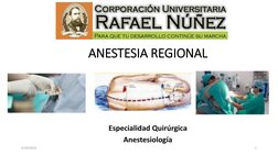 ANESTESIA REGIONAL 
Especialidad Quirúrgica
Anestesiología 
5/10/2019
1
