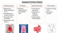 MANIFESTACIONES
Cardiovasculares 
• Bloqueo de 
fibras simpáticas  
T5-L1
• Vasodilatación 
venosa y arterial
• Estancamiento