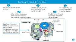 La carga del tambor suprime 
el tóner.
El haz de láser descarga las
áreas en el tambor donde
queremos que aparezca la imagen.