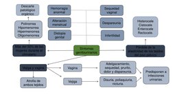 Predisponen a 
infecciones 
urinarias. 
Más del 50% de las 
mujeres durante el 
climaterio
Infertilidad 
Distopia
genital
Des