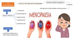 La 
posmenopausia
inicia un año luego de la menopausia
persiste el déficit estrogénico
acompaña
osteoporosis y enfermedades c