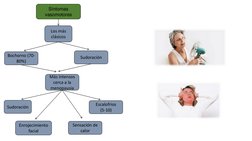 Síntomas 
vasomotores
Enrojecimiento 
facial
Más intensos 
cerca a la 
menopausia
Los más 
clásicos
Sudoración 
Bochorno (70-