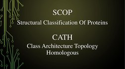 SCOP and CATH Protein Databases Explained | PDF | Protein Domain ...