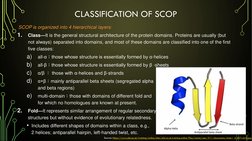 SCOP and CATH Protein Databases Explained | PDF | Protein Domain ...