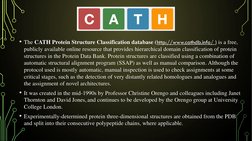 SCOP and CATH Protein Databases Explained | PDF | Protein Domain ...