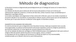Método de diagnostico
La fasciolosis humana es diagnosticada parasitológicamente por el hallazgo de huevos en la materia feca