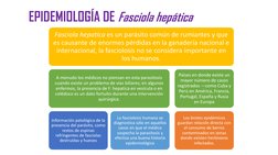 EPIDEMIOLOGÍA DE Fasciola hepática
Fasciola hepatica es un parásito común de rumiantes y que 
es causante de enormes pérdidas
