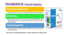 Murray PR y col: Microbiología Médica. 7° Edición. Editorial Elsevier Mosby. 2010.
TRATAMIENTO DE Fasciola hepática
DESHIDROE