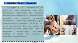 1.
NATURALEZA DEL PROYECTO 
Se reunen a 70   ancianos de una 
residencia, 
para 
desarrollar 
con 
ellos 
determinadas 
activ