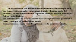 Los tratamientos con animales son una modalidad de terapia en la 
que los perros son una herramienta de trabajo y forman part