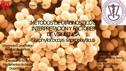 Integrante:
Peche Sulca, Diego  
Rodríguez Portal,Stefany  
Docente:
Doc. RicardoSirlopu
Doc. JuanBarón
Universidad CesarVall