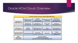 Oracle Fusion HCM Overview and Structure | PDF | Employment | Databases