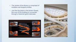 •
The center of the library is comprised of 
multiple oval shaped profiles.
•
Just like the pistol in the lantern flower, 
th