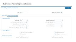 Oracle Fusion Payment Process Guide | PDF