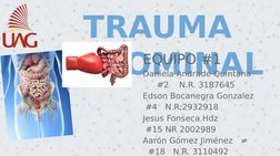 TRAUMA 
ABDOMINAL
EQUIPO #1
Daniela Andrade Quintana       
#2    N.R. 3187645
Edson Bocanegra Gonzalez          
 #4   N.R:2