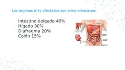 Los órganos más afectados por arma blanca son:
-
Intestino delgado 40%
-
Hígado 30%
-
Diafragma 20%
-
Colón 15%
