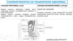 COMPARTIMIENTOS EN TRAUMATISMO ABDOMINAL 
CAVIDAD PERITONEAL (real)
CAVIDAD RETROPERITONEAL (virtual)
Región 
superior: 
diaf