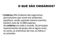 O QUE SÃO CNIDÁRIOS?
• Cnidários (filo Cnidaria) são organismos 
pluricelulares que vivem em ambientes 
aquáticos, sendo a gr