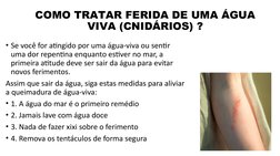 COMO TRATAR FERIDA DE UMA ÁGUA 
VIVA (CNIDÁRIOS) ?
• Se você for atingido por uma água-viva ou sentir 
uma dor repentina enqu