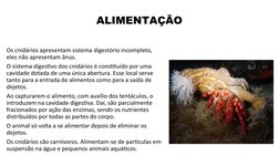 ALIMENTAÇÃO
Os cnidários apresentam sistema digestório incompleto, 
eles não apresentam ânus.
O sistema digestivo dos cnidári
