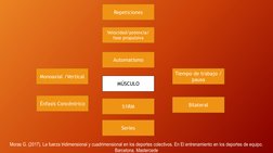 Repeticiones
Velocidad/potencia/
fase propulsiva
Bilateral
Tiempo de trabajo / 
pausa 
Automatismo
Series
Monoaxial /Vertical
