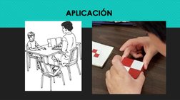 APLICACIÓN 
