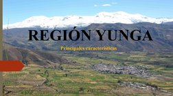 REGIÓN YUNGA
Principales características
