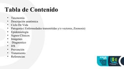 Tabla de Contenido
•
Taxonomía
•
Descripción anatómica 
•
Ciclo De Vida 
•
Patogenia ( Enfermedades transmitidas y/o vectores