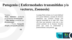 Patogenia ( Enfermedades transmitidas y/o 
vectores, Zoonosis)  
La pulga Pulex irritans es el vector habitual 
de la peste b