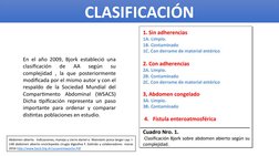 CLASIFICACIÓN
En el año 2009, Bjork estableció una 
clasificación 
de 
AA 
según 
su 
complejidad , la que posteriormente 
mo