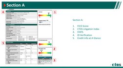 Section A 
1
2
3
4
5
Section A:
1.
FICO Score
2.
CTOS Litigation Index
3.
STATS
4.
ID Verification
5.
Credit Info at A Glance