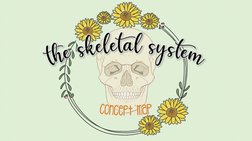 conceptmaptheskeletalsystem
