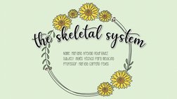 theskeletalsystem
Name: Mariana Arevalo Rodríguez
Subject: Inglés técnico para medicina
Professor: Mariela Carreño reyes
