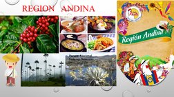 REGION   ANDINA
