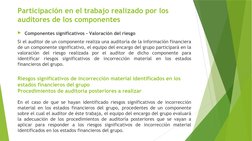 Participación en el trabajo realizado por los 
auditores de los componentes 
Componentes significativos - Valoración del rie