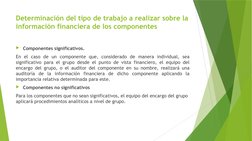 Determinación del tipo de trabajo a realizar sobre la 
información financiera de los componentes 
Componentes significativos
