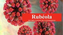 Rubéola
HISTORIA NATURAL DE LA ENFERMEDAD
