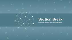 Section Break
Insert the Subtitle of Your Presentation
