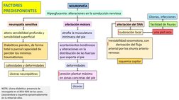 NEUROPATÍA
Hiperglucemia: alteraciones en la conducción nerviosa
neuropatía sensitiva
altera sensibilidad profunda y 
sensibi