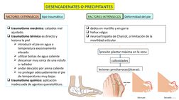 DESENCADENATES O PRECIPITANTES
FACTORES EXTRÍNSECOS
tipo traumático
traumatismo mecánico: calzados mal 
ajustado.
traumatis