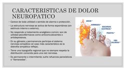 ◦Carece de toda utilidad o sentido de alarma o protección.
◦La estructura nerviosa se activa de forma espontánea (sin 
estímu