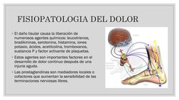 FISIOPATOLOGIA DEL DOLOR
◦El daño tisular causa la liberación de 
numerosos agentes químicos: leucotrienos, 
bradikininas, se